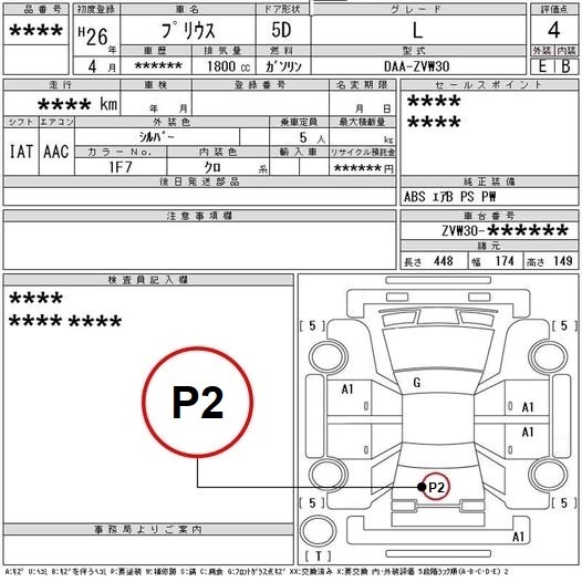 P মার্ক মূলত তিন ভাগে বোঝানো হয়— P1, P2 ও P3।